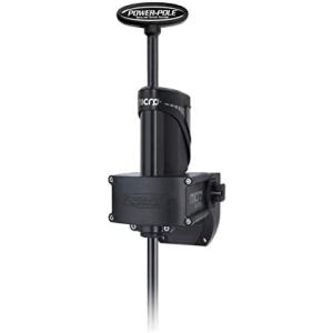 SMITH（スミス） トラウティンスピン フィールドリーム アヴェルラ FLA