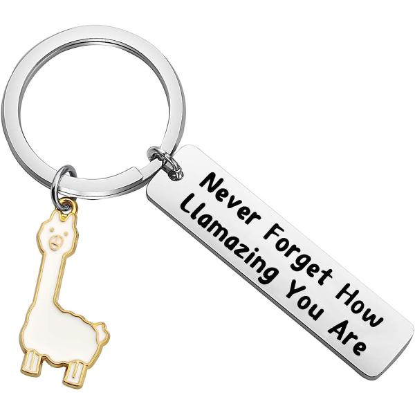 【並行輸入品】FOTAP ラマギフト Never Forget How Llamazing You ...