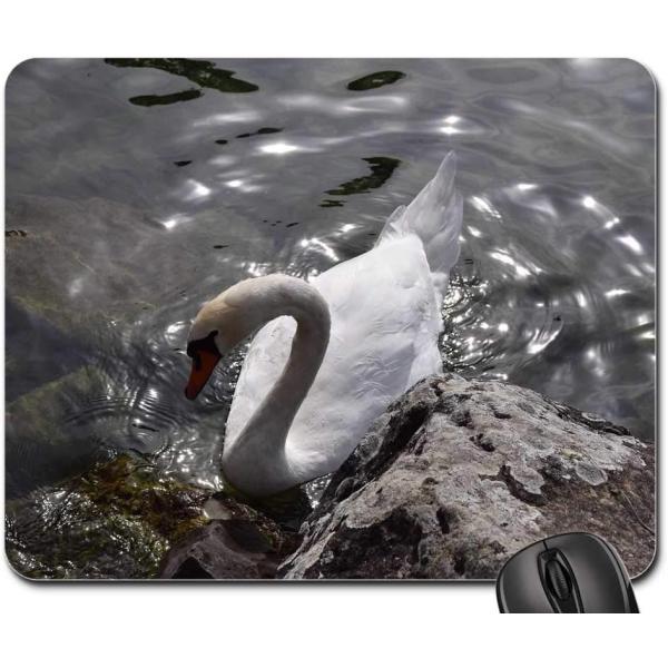 Mouse Pad - Animals Birds Swans Park Nature Haute ...