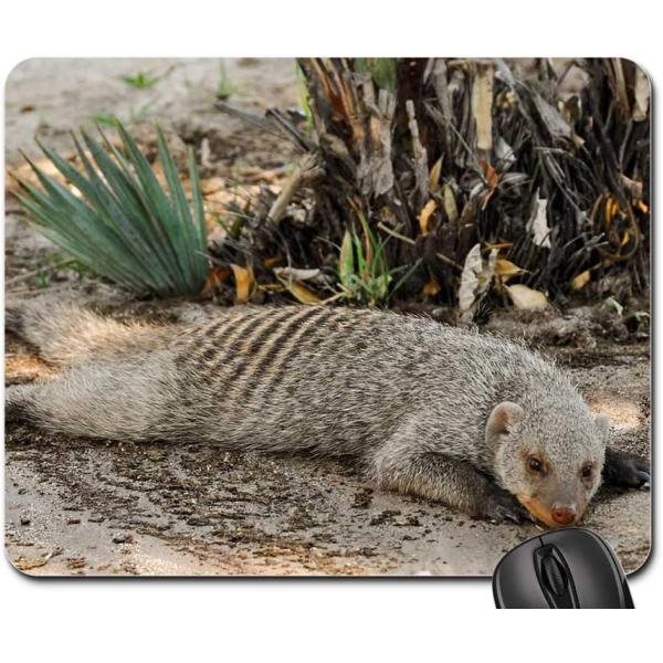 Mouse Pad - Africa Namibia Nature Dry National Par...