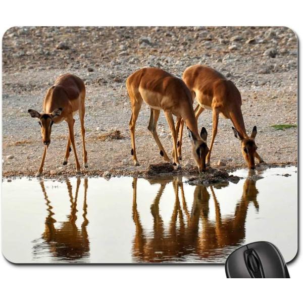 Mouse Pad - Africa Namibia Nature Dry National Par...