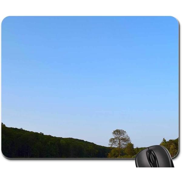 Mouse Pad - Lake Reflection Park Trees Blue Water ...
