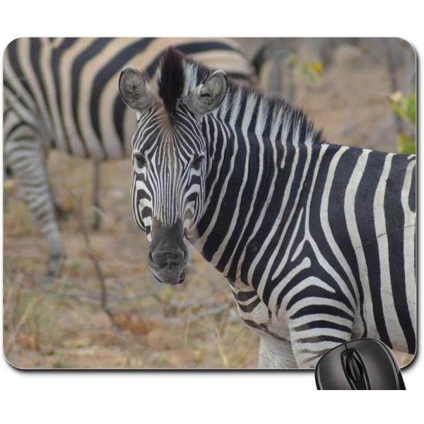 Mouse Pad - Zebra Africa Safari National Park Wild...