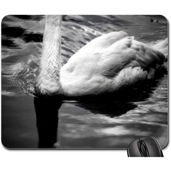 Mouse Pad - Swan River Park in The River Black Nat...