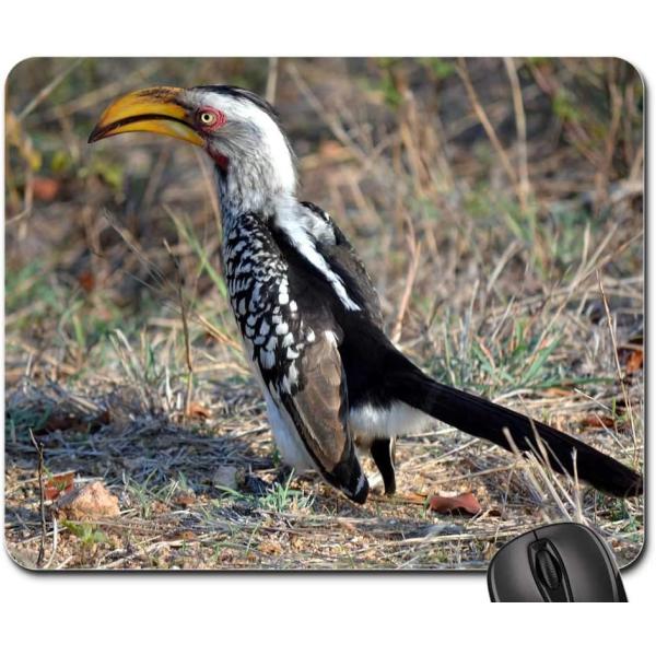 Mouse Pad - Yellow Beak Bird Wild Life Kruger Park...