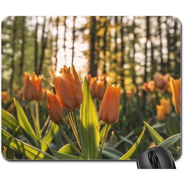 Mouse Pad - Nature Plants Flowers Tulips Outdoors ...