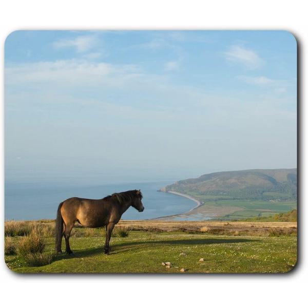 【並行輸入品】APSRA コンピューターマウスマット - エクスムーア国立公園デボンオフィスギフト ...