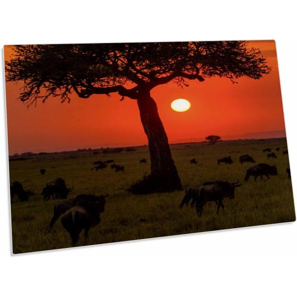 3dRose Africa. Tanzania. Serengeti National Park. ...
