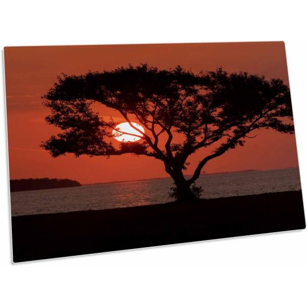 【並行輸入品】3dRose USA  Florida  Everglades National Pa...