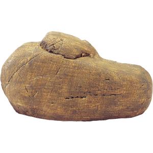 【並行輸入品】 Exo Terra Reptile Den Medium by Exo Terra　