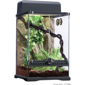 【並行輸入品】 Exo Terra PT2602 Rainforest Habitat Kit Small by Exo Terra　