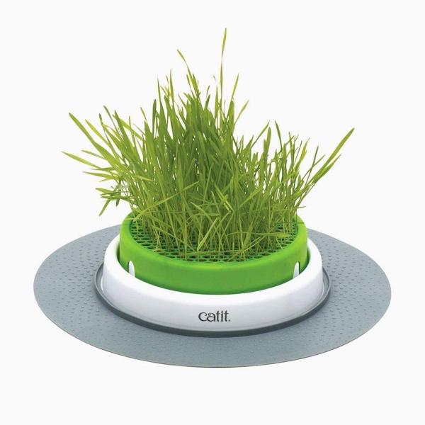 Catit Senses 2.0 Grass Planter by Catit　並行輸入品