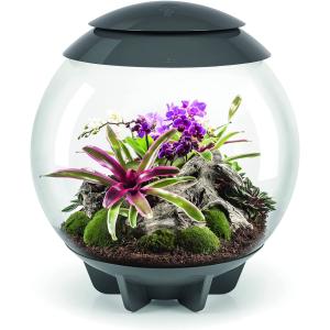 【並行輸入品】 biOrb バイオーブエアー60 No.46148 グレー 植物育成テラリウム LED ミスト　