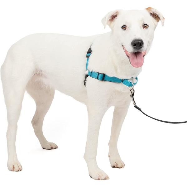 【並行輸入品】 】 ペットセーフ  PetSafe 犬用 ハーネス デラックス イージーウォークハー...