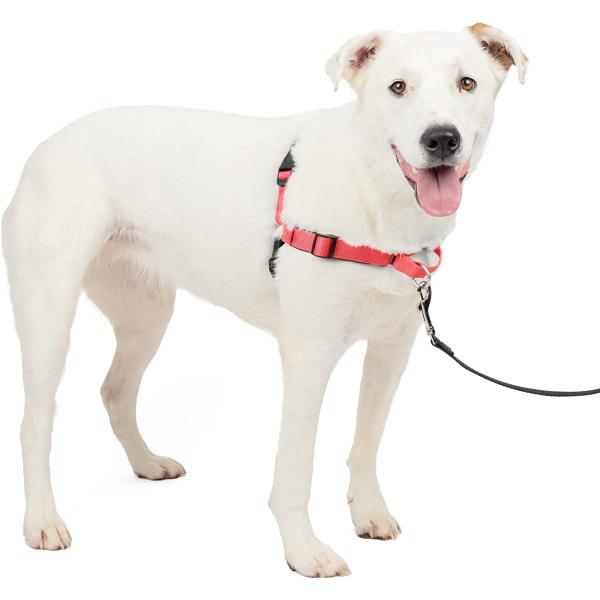 【並行輸入品】 】 ペットセーフ  PetSafe 犬用 ハーネス デラックス イージーウォークハー...