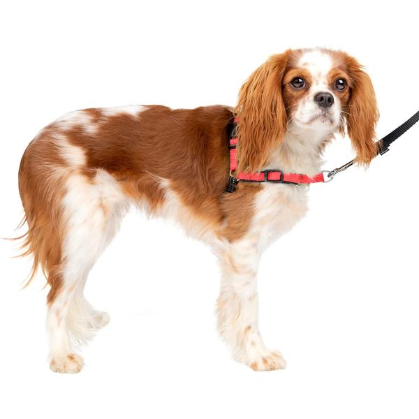 【並行輸入品】 】 ペットセーフ  PetSafe 犬用 ハーネス デラックス イージーウォークハー...
