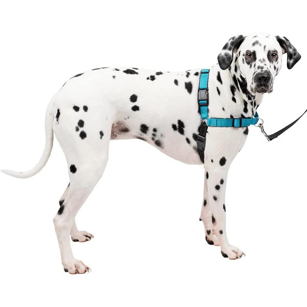 【並行輸入品】 】 ペットセーフ  PetSafe 犬用 ハーネス デラックス イージーウォークハー...
