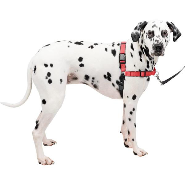 【並行輸入品】 】 ペットセーフ  PetSafe 犬用 ハーネス デラックス イージーウォークハー...