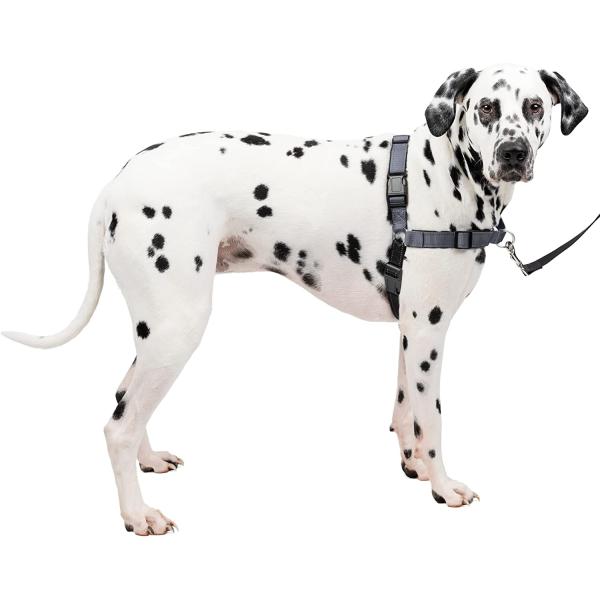 【並行輸入品】 】 ペットセーフ  PetSafe 犬用 ハーネス デラックス イージーウォークハー...