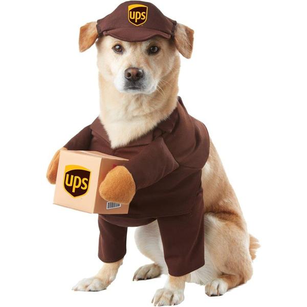 California Costumes UPS Pal Pet Costume-　並行輸入品