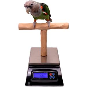 NU Perch Parrot Training Scale　並行輸入品
