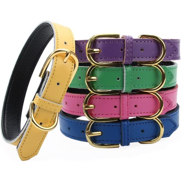 【並行輸入品】 Aolove Basic Classic Padded Leather Pet Co...