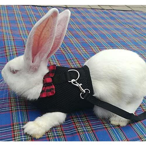 Bunny Kitten Harness No Pull Cat Leash Stylish Ves...