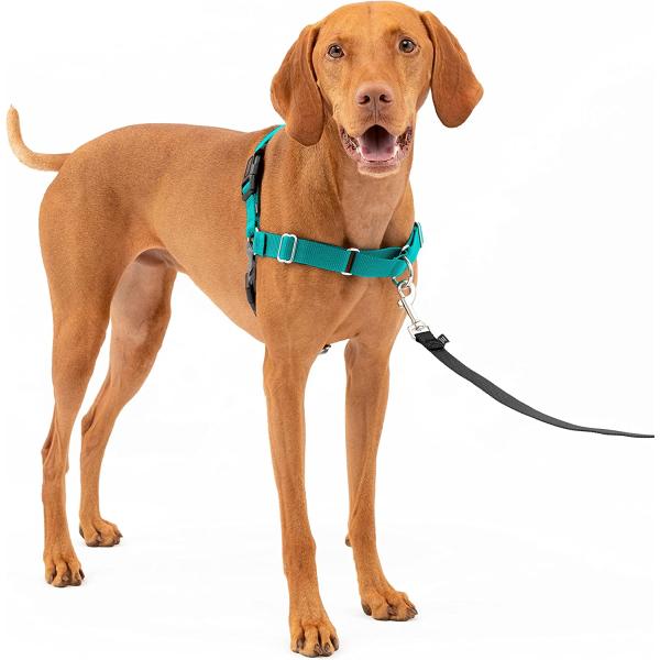 【並行輸入品】 PetSafe Easy Walk Dog Harness  Teal/Gray  ...