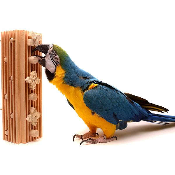Activity Block - Large Parrot Toy　並行輸入品