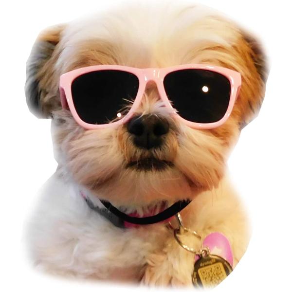 【並行輸入品】 G014 Dog Pet 80s Sunglasses Goggles for Sm...