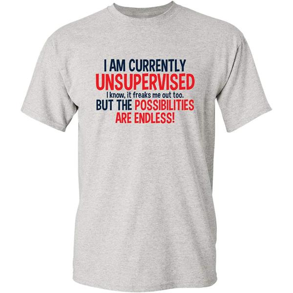 Currently Unsupervised Graphic Novelty Sarcastic F...