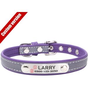 【並行輸入品】 Custom Personal...の詳細画像4