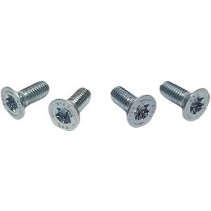 【並行輸入品】 Z Whip LS LT カムシャフト リテーナー スラストプレート トルクスボルト...