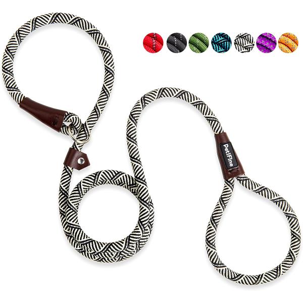 【並行輸入品】 PetiFine Slip Lead Dog Leash  Full Reflect...