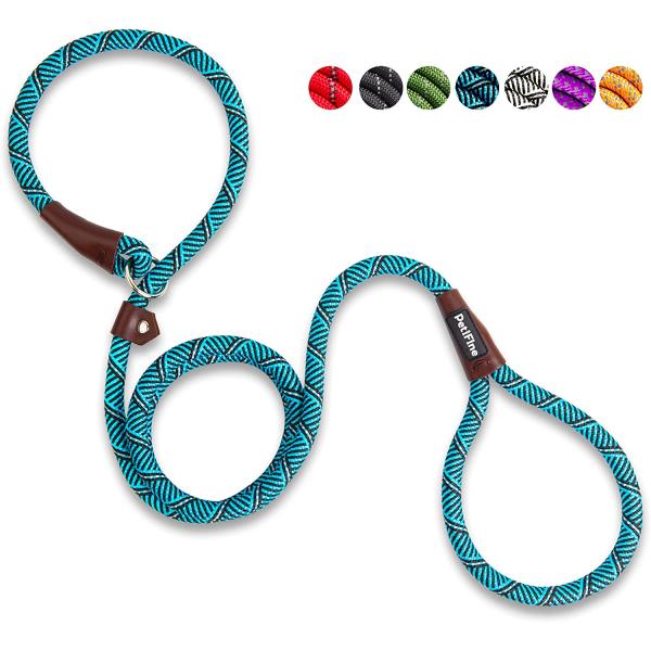 【並行輸入品】 PetiFine Slip Lead Dog Leash  Full Reflect...