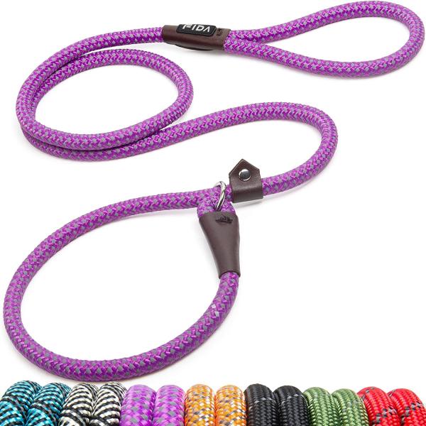 【並行輸入品】 Fida Durable Slip Lead Dog Leash  6 FT x 1...