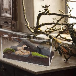 【並行輸入品】 winemana Reptil...の詳細画像5
