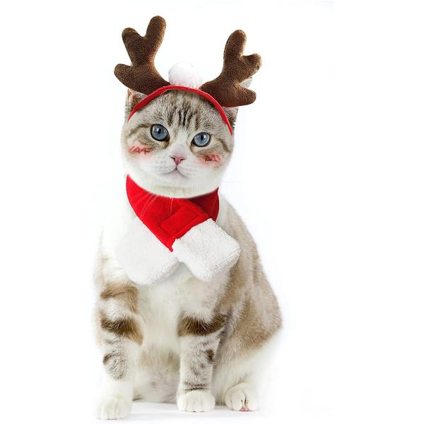 Enjoying Christmas Cat Clothes Puppy Reindeer Antl...