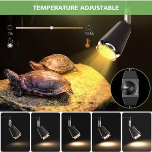 【並行輸入品】 SILICAR Reptile...の詳細画像3