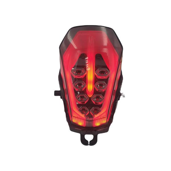 【並行輸入品】 GSX R 1000 2017 2021 Led Integrated Tail L...