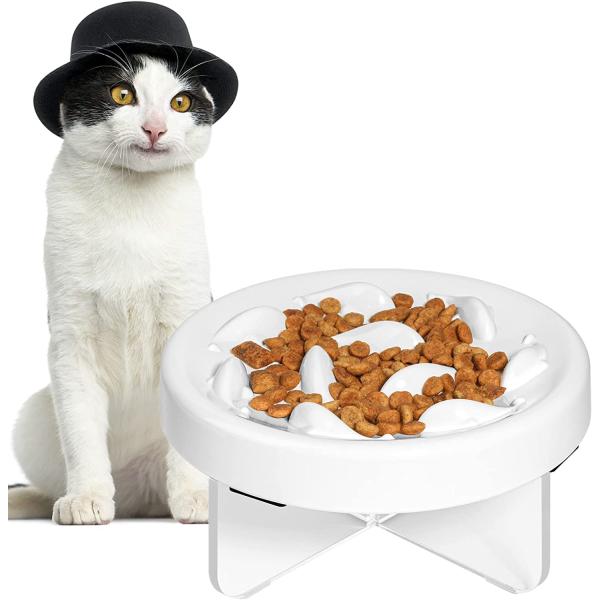 Slow Feeder Bowl for Cats and Small Dogs Cilkus Fi...