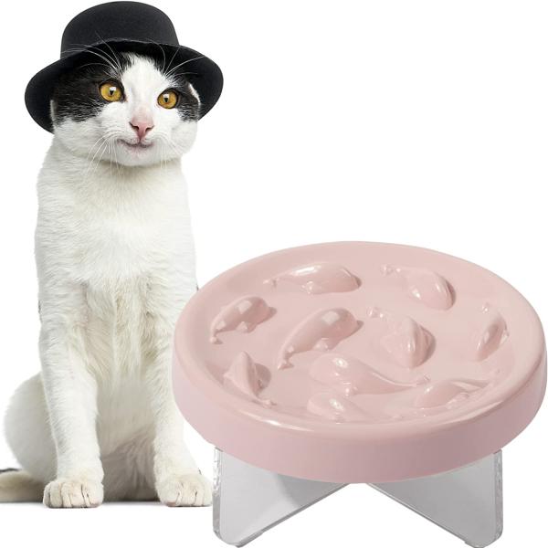 Slow Feeder Bowl for Cats and Small Dogs Cilkus Fi...