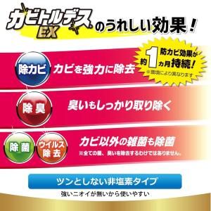 4本セット UYEKI(ウエキ) カビトルデス...の詳細画像3
