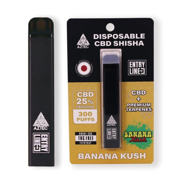 AZTEC CBD 持ち運び CBD シーシャ アステカ 使い捨て CBD濃度25% CBD250m...