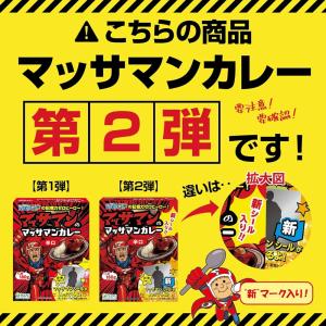 10箱セット 辛口 マッサマンのマッサマンカレ...の詳細画像1
