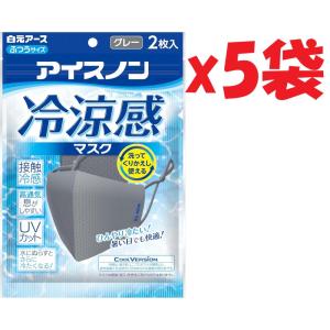 2枚入り×5袋セット アイスノン冷涼感マスク グレー 管理記号:SHUTTER