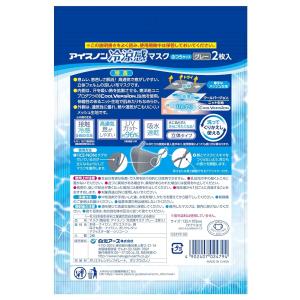 2枚入り×5袋セット アイスノン冷涼感マスク ...の詳細画像1