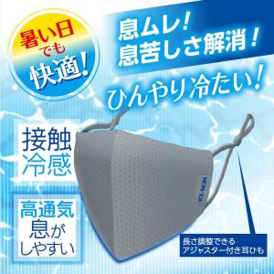 2枚入り×5袋セット アイスノン冷涼感マスク ...の詳細画像2