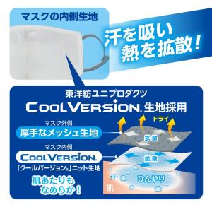 2枚入り×5袋セット アイスノン冷涼感マスク ...の詳細画像3