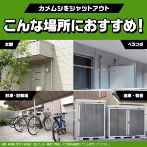 4本セット バルサン カメムシ駆除スプレー 3...の詳細画像5